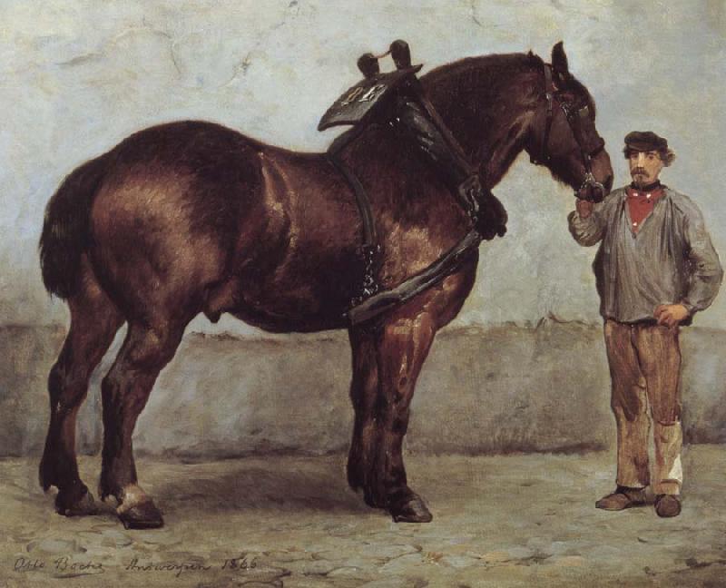  The working horse